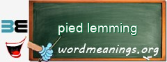 WordMeaning blackboard for pied lemming